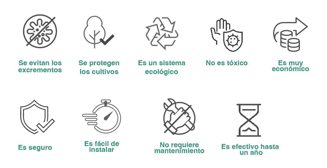 Infografía áreas verdes